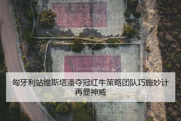 匈牙利站维斯塔潘夺冠红牛策略团队巧施妙计再显神威